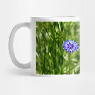 Blue Cornflower Mug